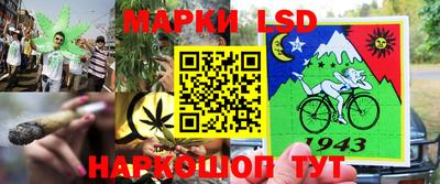 трава Камышлов