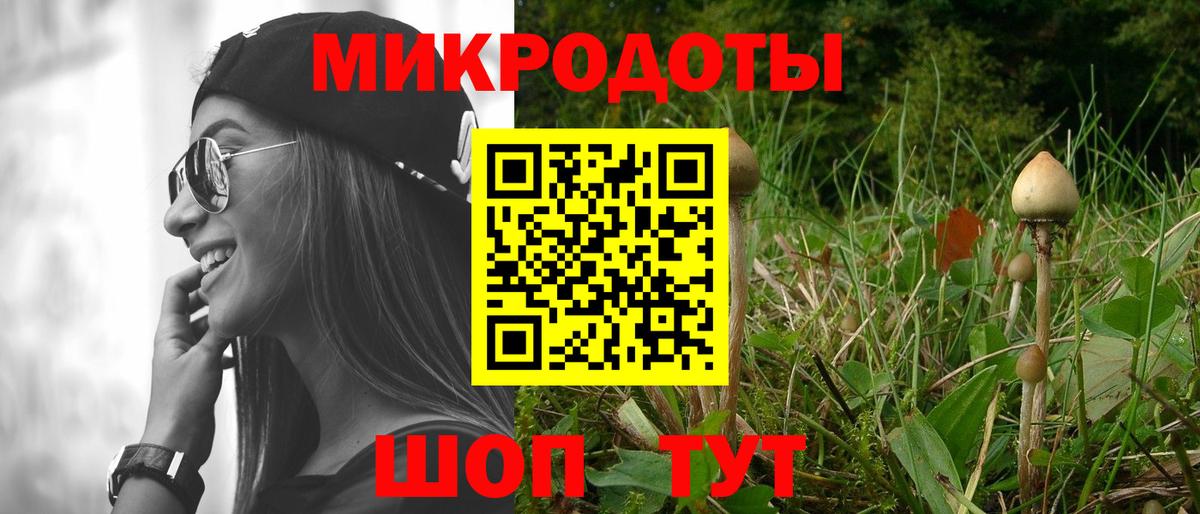 Псилоцибиновые грибы мухоморы  Вход с VPN  Псилоцибиновые грибы прущие грибы  Красный Сулин 