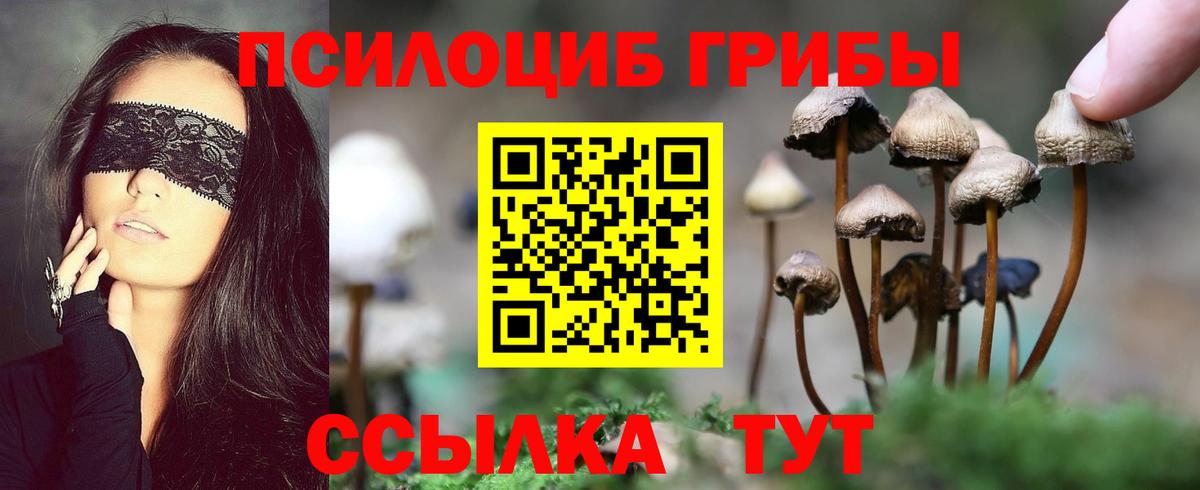 Галлюциногенные грибы Cubensis Красный Сулин